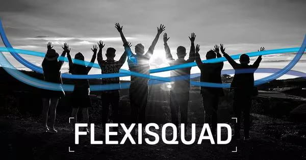 Flexisquad - What’s It All About